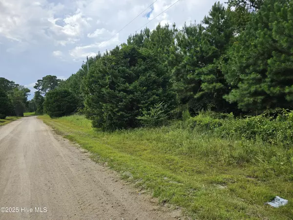 Loris, SC 29569,Lot 10 & 9 Powell LN