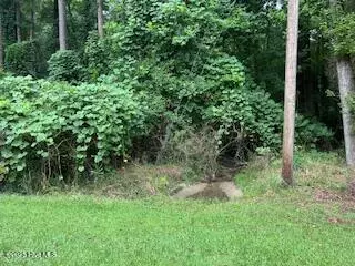 Kenansville, NC 28349,0 W Grove CIR