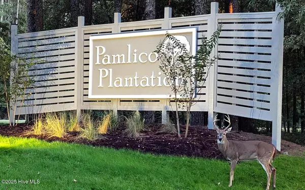 Washington, NC 27889,0 Pamlico River DR