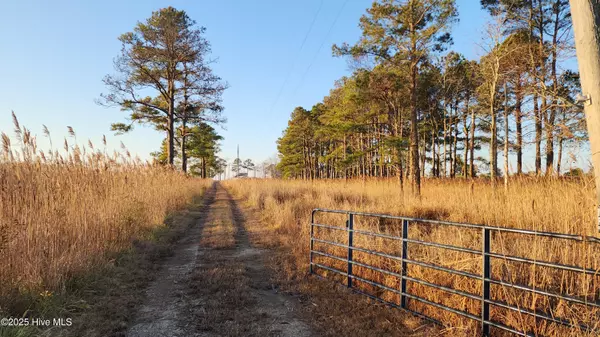 116 Mistletoe LN, Shiloh, NC 27974