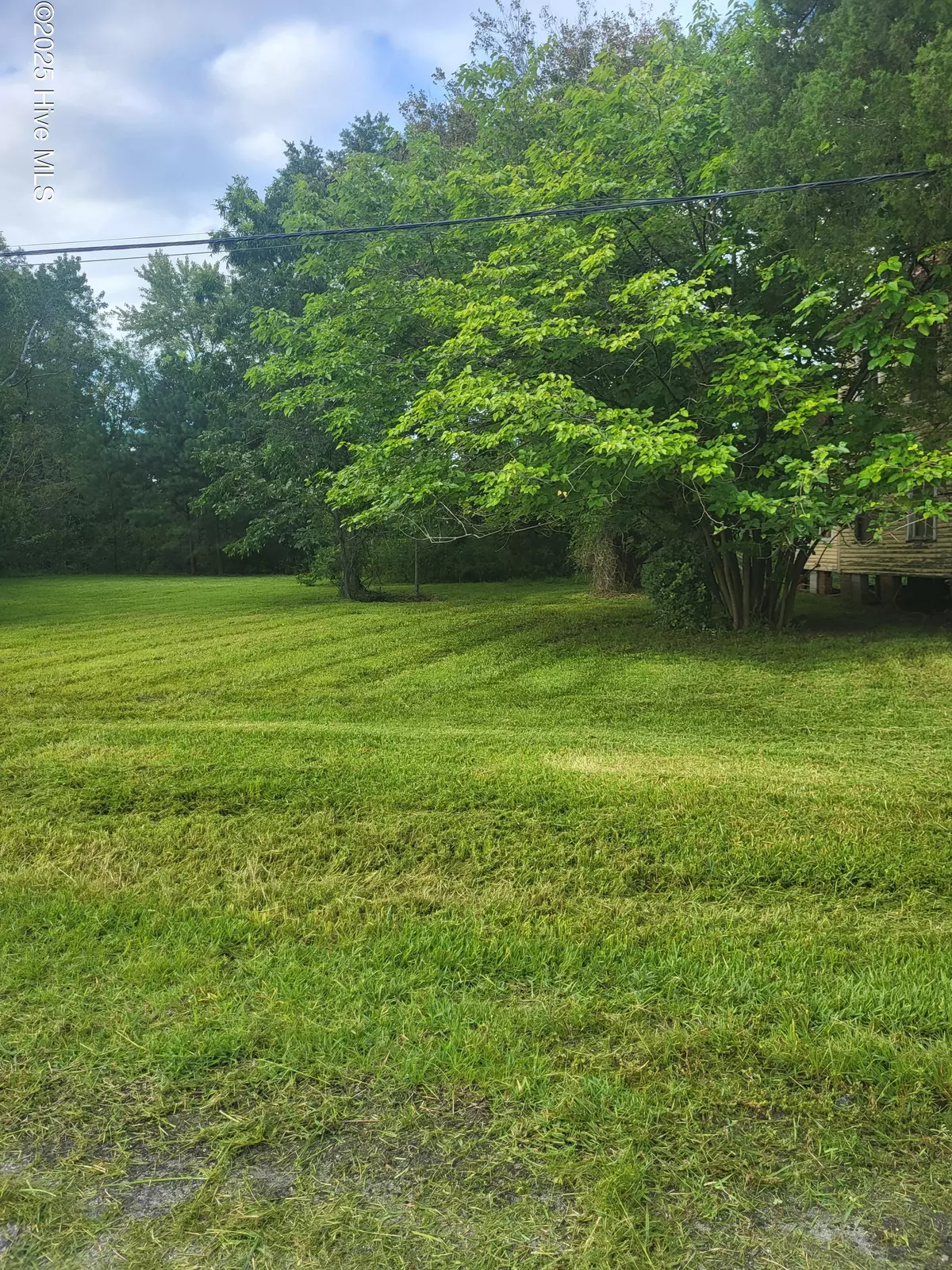 Belhaven, NC 27810,0 Pungo ST