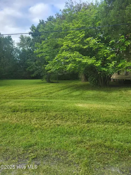 1 Lot N/S Pungo Parcel #29832 ST, Belhaven, NC 27810