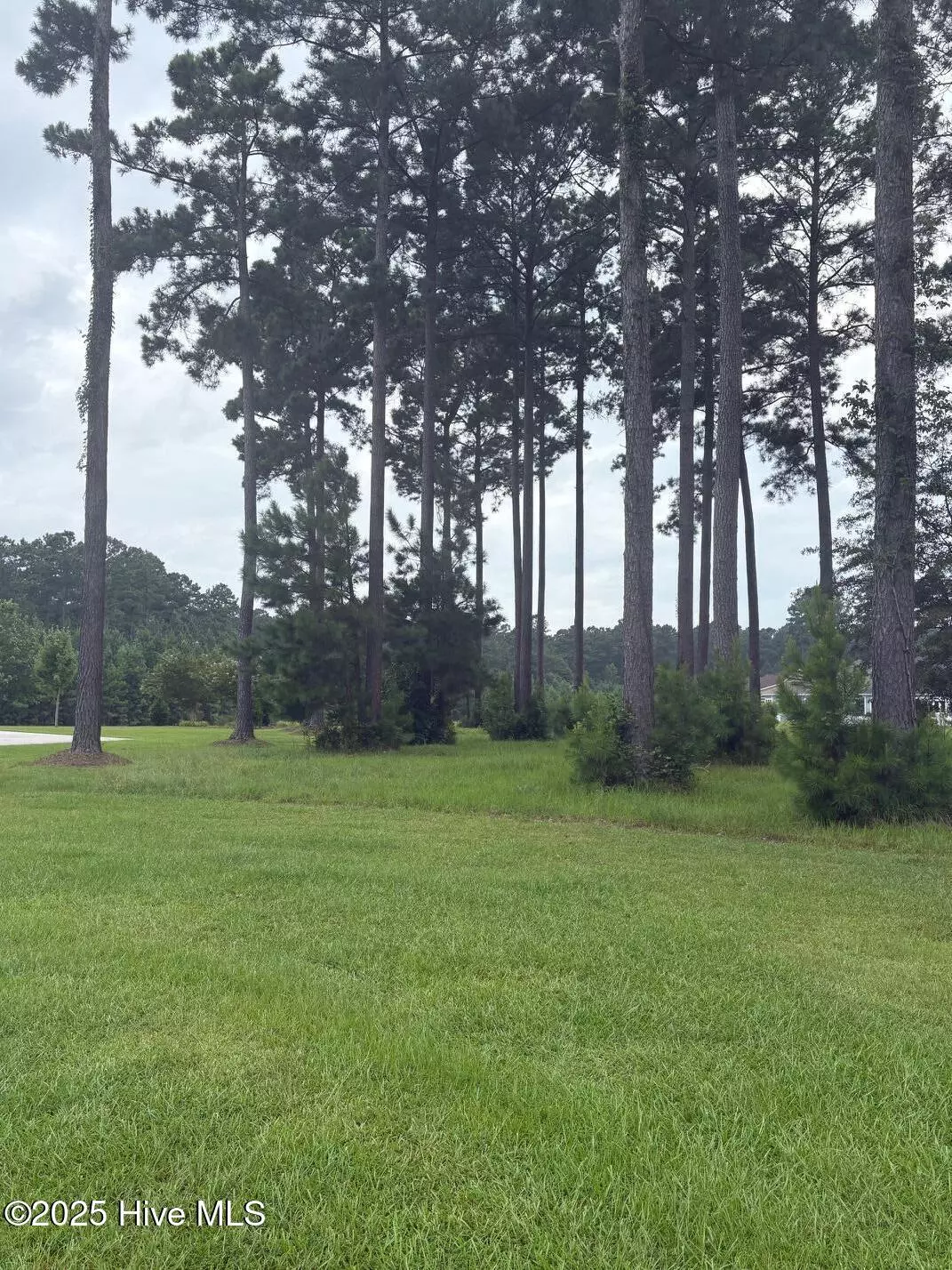 New Bern, NC 28562,2808 Waterleaf PT