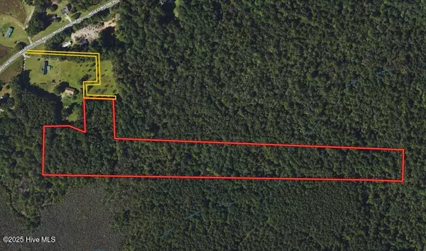 Whiteville, NC 28472,Tbd Near 2318 Mille Chri RD