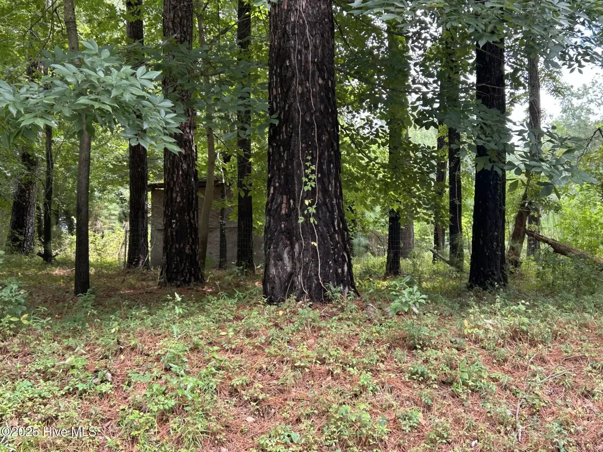 Burgaw, NC 28425,0 Croomsbridge RD