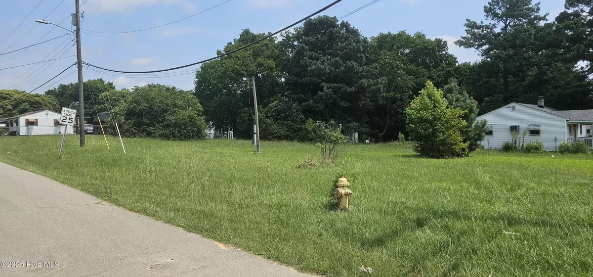 Weldon, NC 27890,Tbd County RD