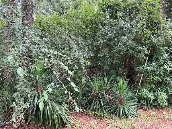 Pinetops, NC 27864,310 Longwood DR