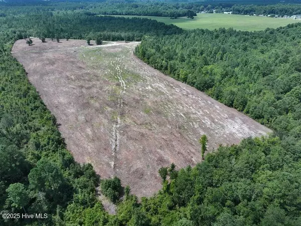 Tbd Alamac RD, Lumberton, NC 28358