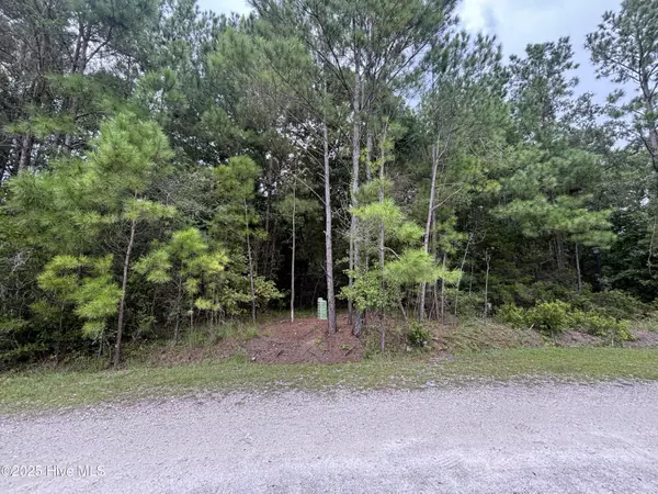 Shallotte, NC 28470,4110 Arabian WAY SW