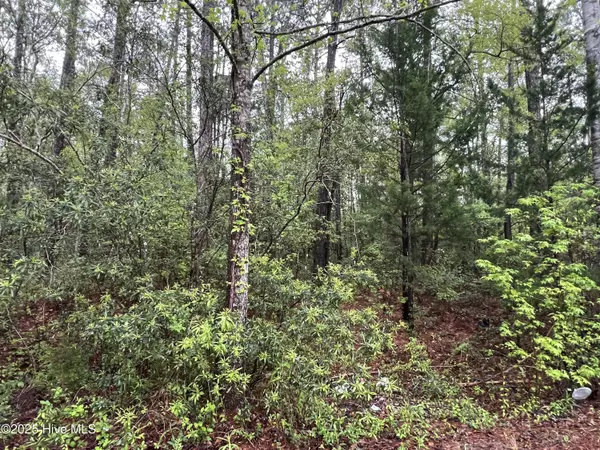 Supply, NC 28462,679 Westwind DR SW