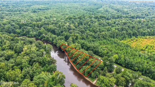 Burgaw, NC 28425,Lots 4-11 Croomsbridge RD