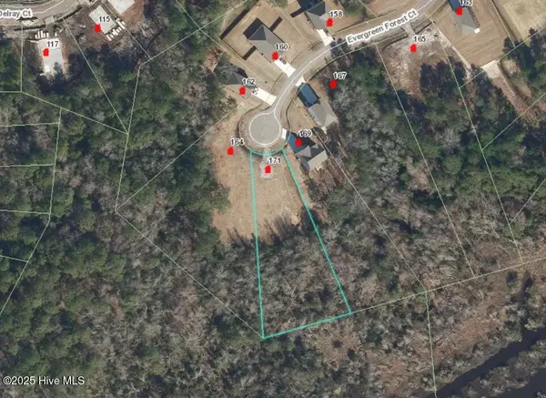 Sneads Ferry, NC 28460,171 Evergreen Forest CT
