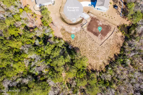 Sneads Ferry, NC 28460,171 Evergreen Forest CT