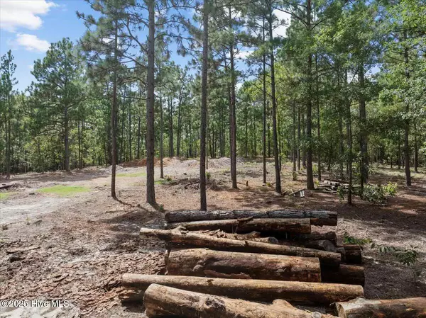 Aberdeen, NC 28315,1074 Chicken Plant RD