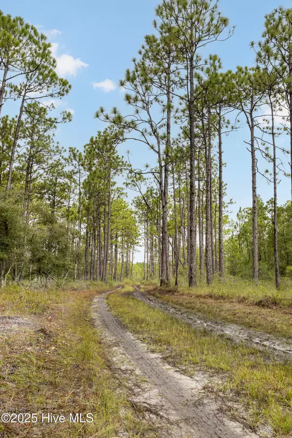 Hampstead, NC 28443,17 Hwy Off