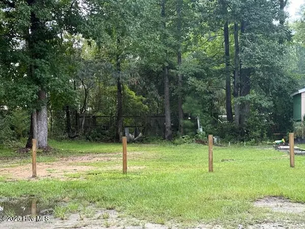 Leland, NC 28451,3205 Mt Misery RD NE