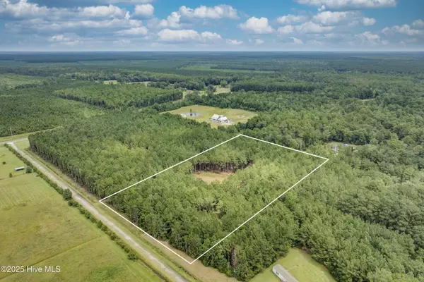 Burgaw, NC 28425,0 Chadwick LN