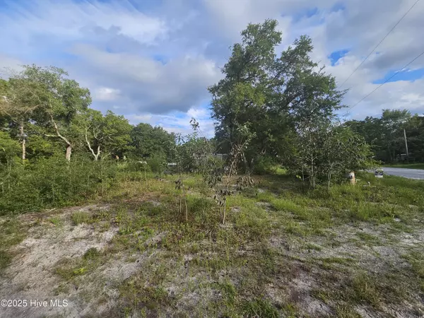 Holly Ridge, NC 28445,162 Holden RD