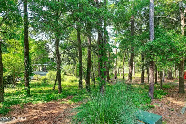Shallotte, NC 28470,1805 Egret ST SW