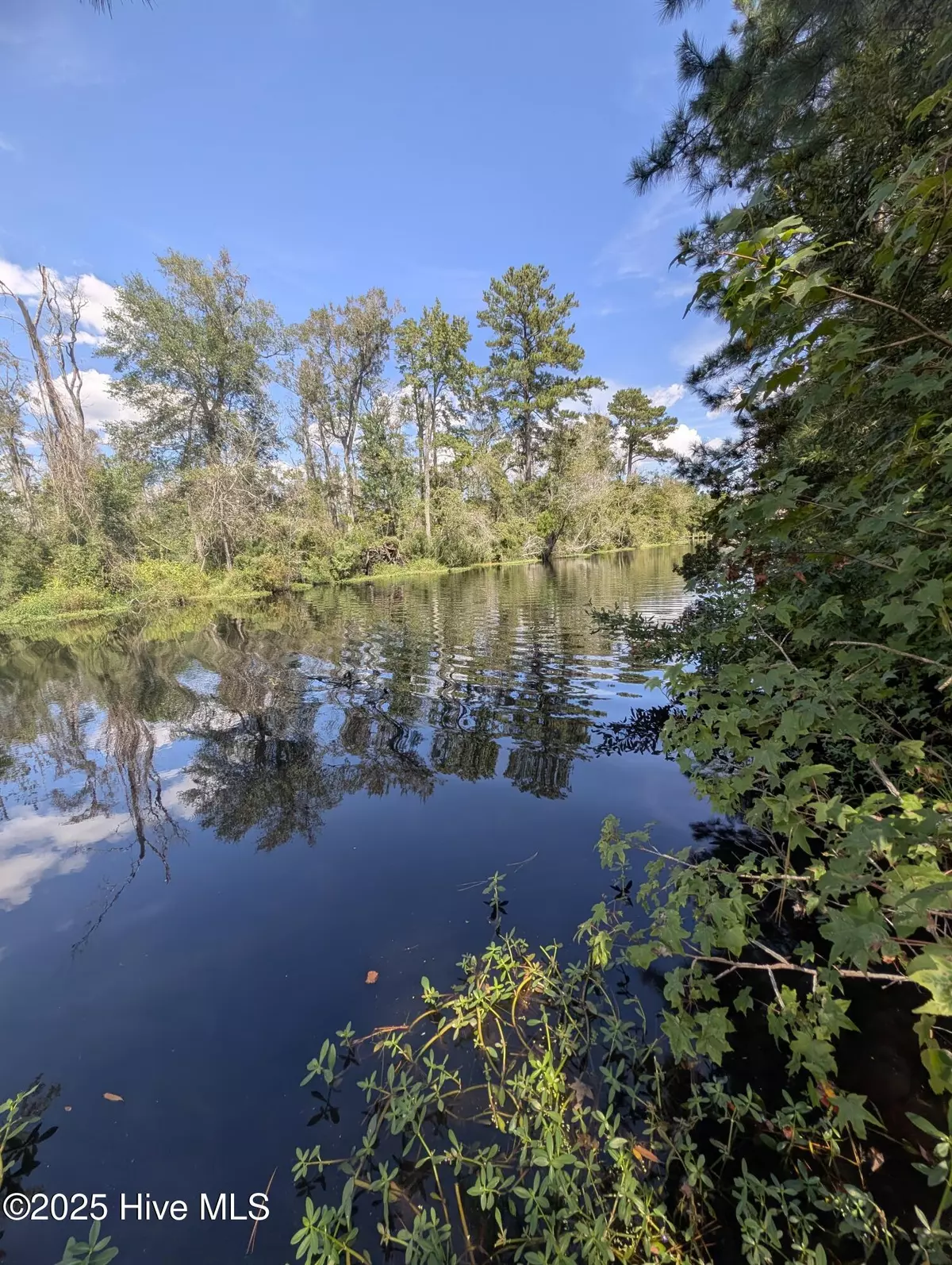 Elizabeth City, NC 27909,116 Dogwood Trail TRL