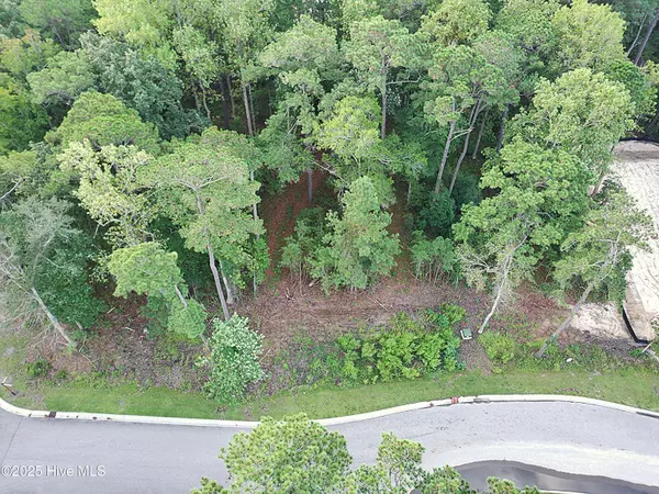 Shallotte, NC 28470,6075 Ocean Isle Palms WAY SW