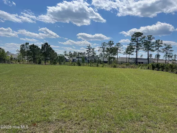 Leland, NC 28451,8607 Grassy Meadow WALK NE