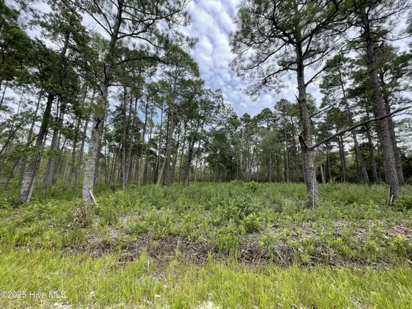 Southport, NC 28461,811 Brittany RD