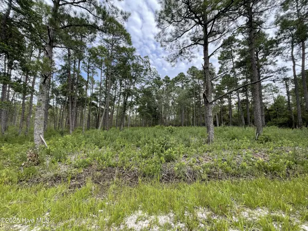 Southport, NC 28461,811 Brittany RD