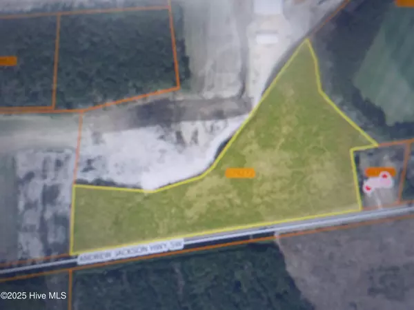 Fair Bluff, NC 28439,Tbd Near 10700 Andrew Jackson HWY