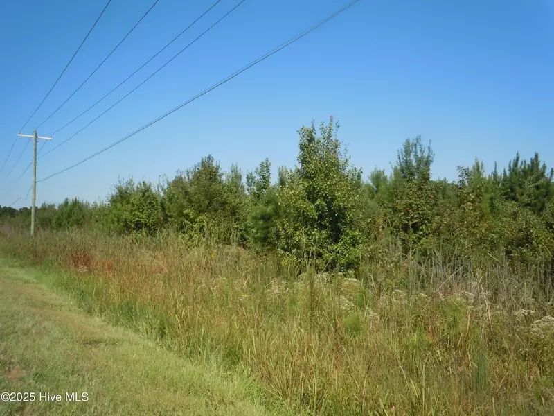 Tbd Near 10700 Andrew Jackson HWY, Fair Bluff, NC 28439