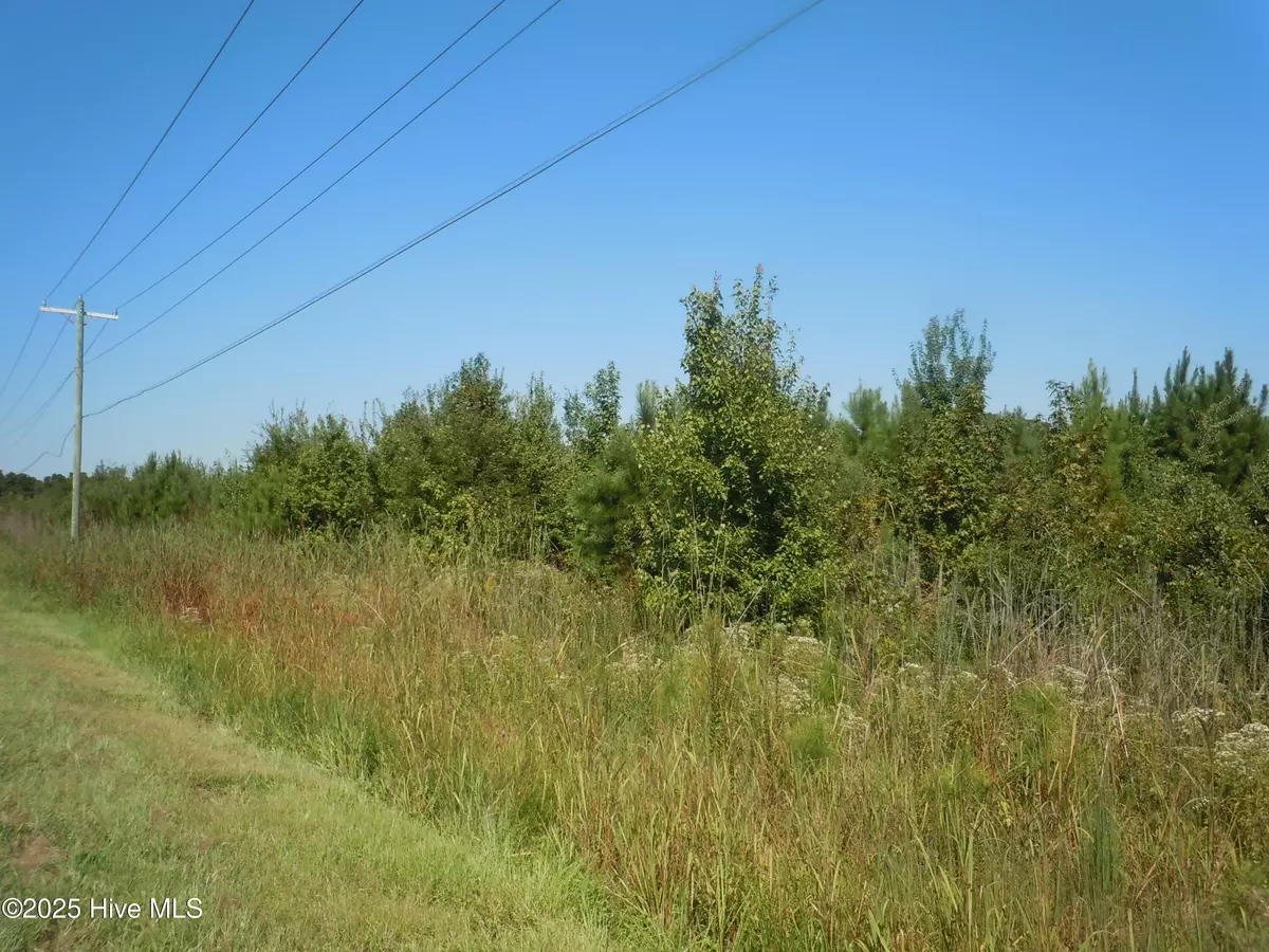 Fair Bluff, NC 28439,Tbd Near 10700 Andrew Jackson HWY