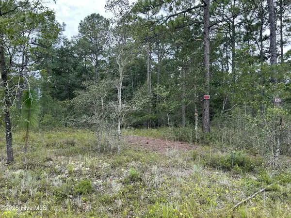 L-297&298 Knox Rd, Southport, NC 28461