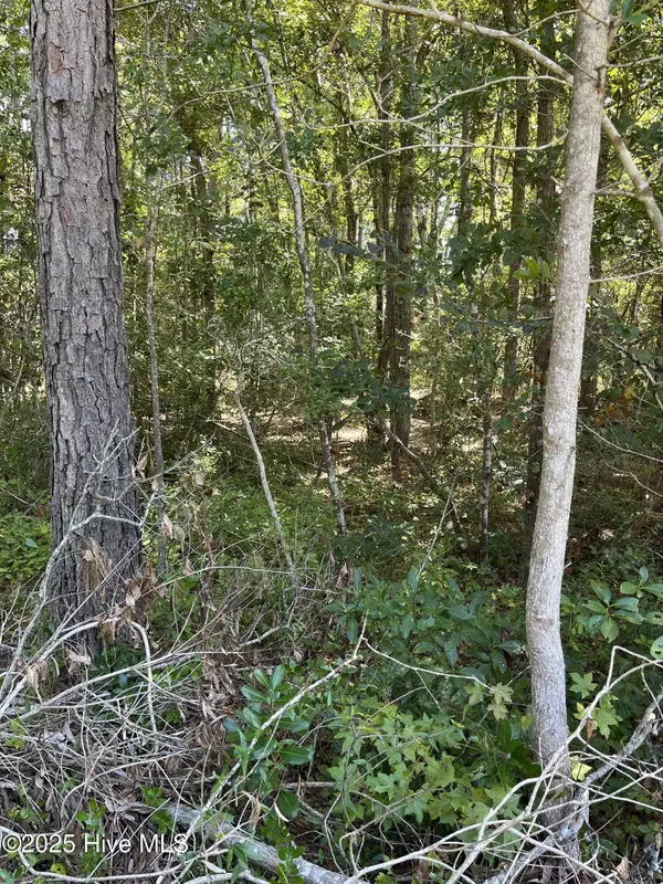 Supply, NC 28462,1106 N Windward DR SW