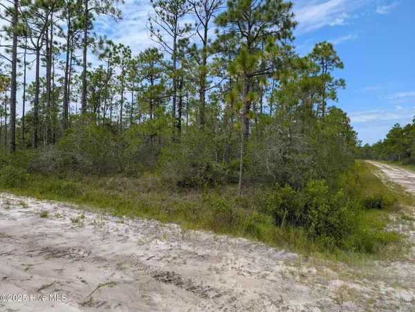 Southport, NC 28461,800 Green Lawn RD