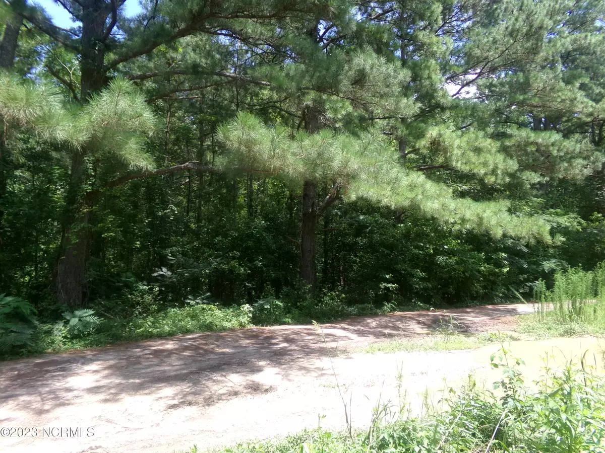Fairmont, NC 28340,Lot 16 Straight Way RD