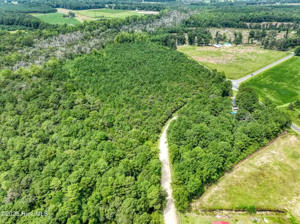 Magnolia, NC 28453,986 Blind Bridge ST