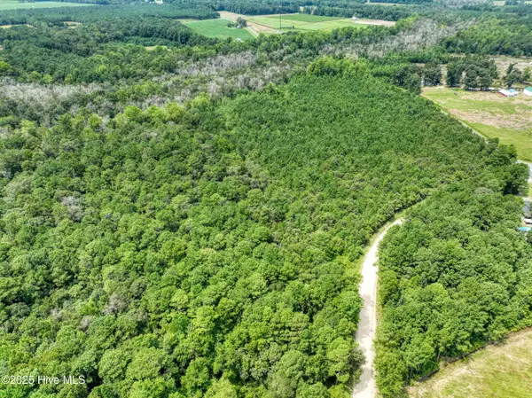 Magnolia, NC 28453,986 Blind Bridge ST