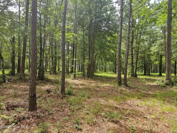 Bath, NC 27808,Lot 66 Tarpon Pointe RD