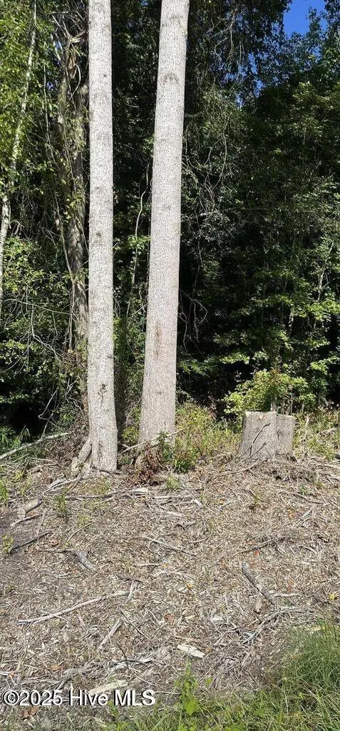 Belvidere, NC 27919,000 Perry'S Bridge RD