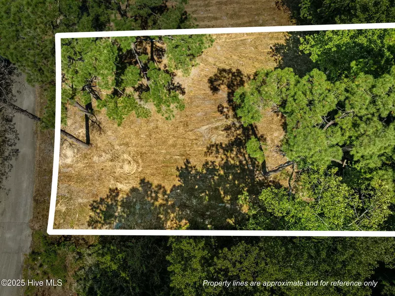 124 Jupiter TRL, Jacksonville, NC 28546