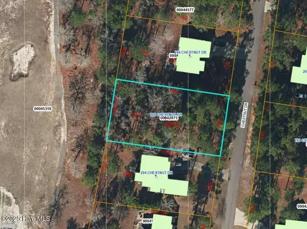 288 Chestnut DR, Vass, NC 28394