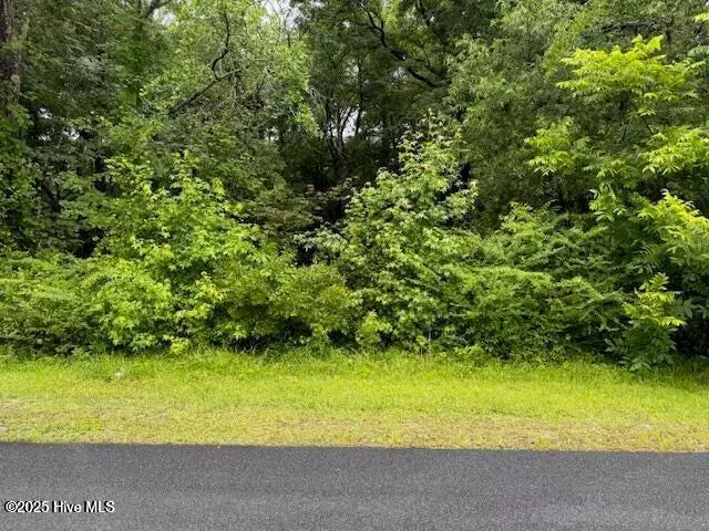 Bolivia, NC 28422,0 Tobes RD NE