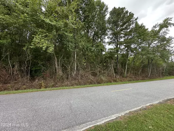 Elizabeth City, NC 27909,Lot 95-77 Crocker Hill RD