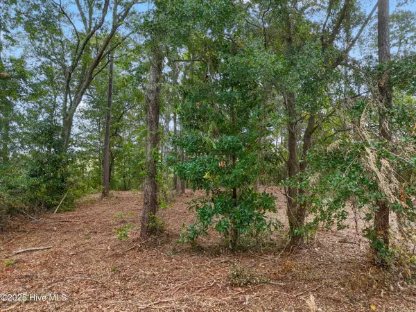 Leland, NC 28451,112 Brookhaven TRL