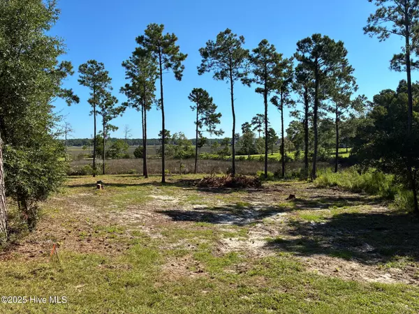 2440 Crape Myrtle CT SW, Supply, NC 28462