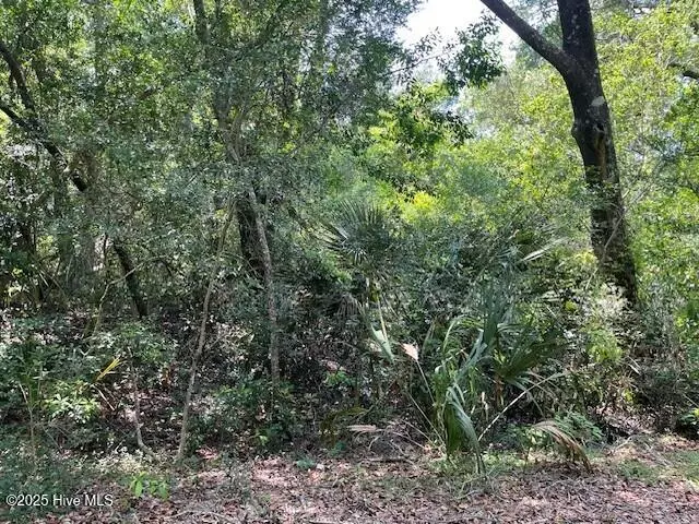 102 Kitty Hawk WAY, Bald Head Island, NC 28461