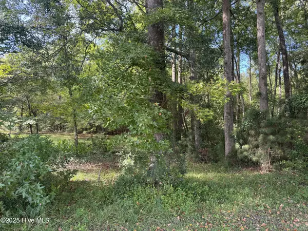 Whiteville, NC 28472,Near 3836 James B White HWY S