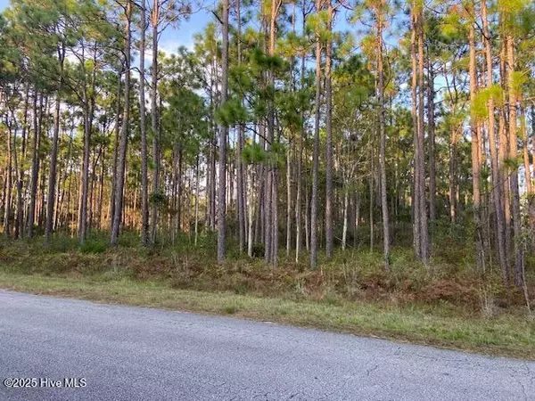 Boiling Spring Lakes, NC 28461,23 Lexington RD