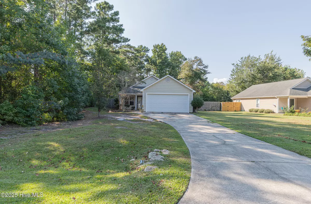 Hampstead, NC 28443,119 Red Bird LN