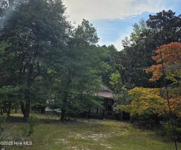 Jackson Springs, NC 27281,1890 Flowers RD